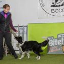 Obedience seminář s Luckou Stemmerovou