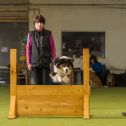 Obedience seminář s Luckou Stemmerovou
