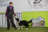 Obedience seminář s Luckou Stemmerovou