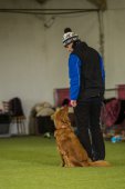 Obedience seminář s Luckou Stemmerovou