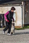 Obedience seminář s Luckou Stemmerovou