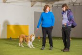 Obedience seminář s Luckou Stemmerovou