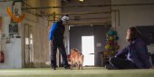 Obedience seminář s Luckou Stemmerovou