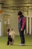 Obedience seminář s Luckou Stemmerovou