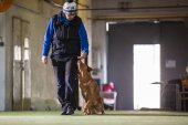Obedience seminář s Luckou Stemmerovou