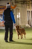 Obedience seminář s Luckou Stemmerovou