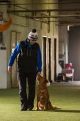 Obedience seminář s Luckou Stemmerovou