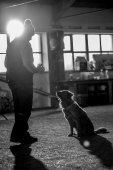 Obedience seminář s Luckou Stemmerovou