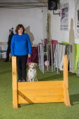 Obedience seminář s Luckou Stemmerovou