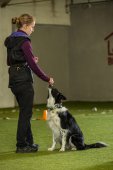 Obedience seminář s Luckou Stemmerovou