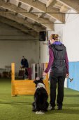 Obedience seminář s Luckou Stemmerovou