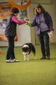 Obedience seminář s Luckou Stemmerovou