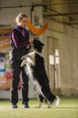 Obedience seminář s Luckou Stemmerovou