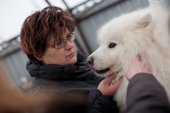 Výstava psů Samojed klubu