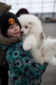 Výstava psů Samojed klubu