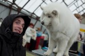 Výstava psů Samojed klubu