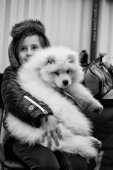 Výstava psů Samojed klubu