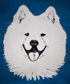 Klubová výstava Samojed klubu