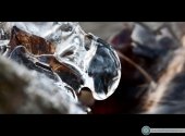 Macro