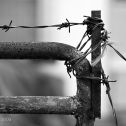 Detailní foto