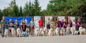 Samoyed days-sobotní výstava
