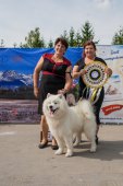 Samoyed days-sobotní výstava