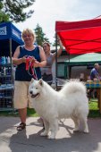 Samoyed days-sobotní výstava