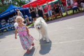 Samoyed days-sobotní výstava