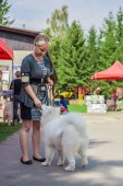 Samoyed days-sobotní výstava