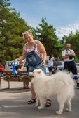 Samoyed days-sobotní výstava