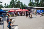 Samoyed days-sobotní výstava