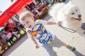 Samoyed days-sobotní výstava