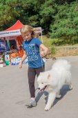 Samoyed days-sobotní výstava