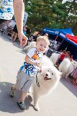 Samoyed days-sobotní výstava