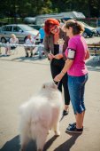 Samoyed days-sobotní výstava