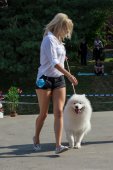 Samoyed days-sobotní výstava