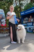 Samoyed days-sobotní výstava