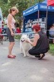 Samoyed days-sobotní výstava