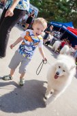 Samoyed days-sobotní výstava