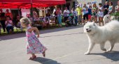Samoyed days-sobotní výstava