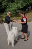 Samoyed days-sobotní výstava