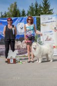 Samoyed days-sobotní výstava