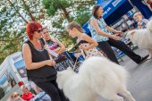 Samoyed days-sobotní výstava
