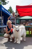 Samoyed days-sobotní výstava
