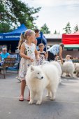 Samoyed days-sobotní výstava