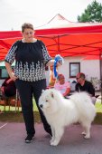 Samoyed days-sobotní výstava