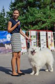 Samoyed days-sobotní výstava