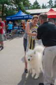 Samoyed days-sobotní výstava