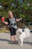 Samoyed days-sobotní výstava