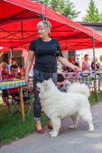 Samoyed days-sobotní výstava